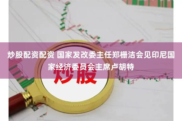 炒股配资配资 国家发改委主任郑栅洁会见印尼国家经济委员会主席卢胡特