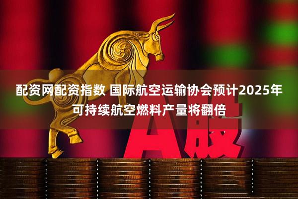 配资网配资指数 国际航空运输协会预计2025年可持续航空燃料产量将翻倍