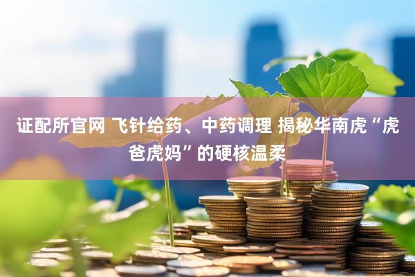 证配所官网 飞针给药、中药调理 揭秘华南虎“虎爸虎妈”的硬核温柔
