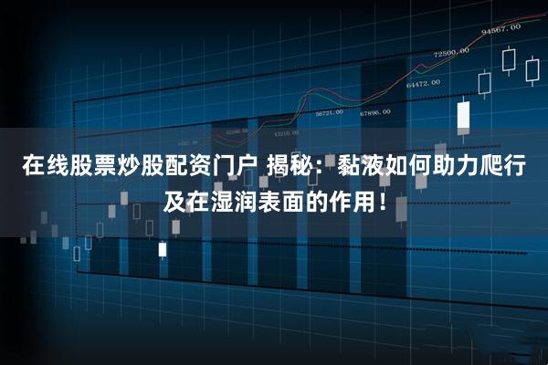 在线股票炒股配资门户 揭秘：黏液如何助力爬行及在湿润表面的作用！